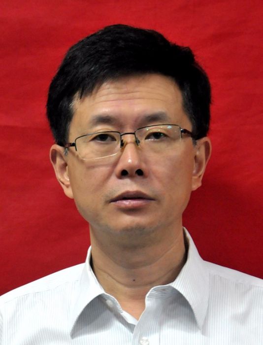 段鵬飛(中共內江市委巡察辦公室副主任) 段鵬飛(中共內江市委巡察辦公室副主任)