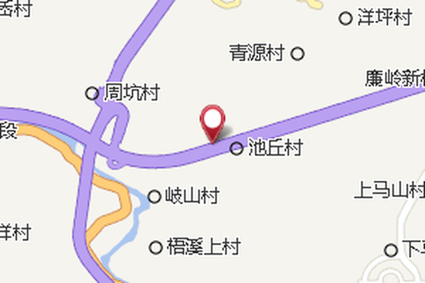 柯樹下 柯樹下