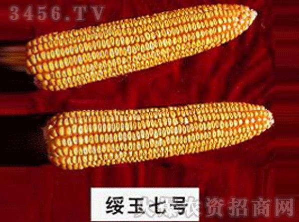龍墾4號 龍墾4號