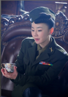 孤膽英雄(電視劇)