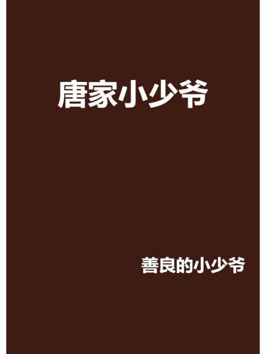 唐家小少爺 唐家小少爺