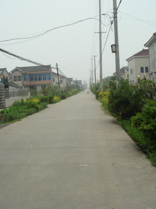 豐樂橋村 豐樂橋村