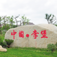 李堡鎮(李堡)