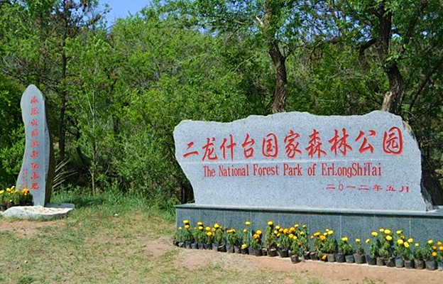 內蒙古二龍什台國家森林公園