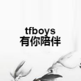tfboys有你陪伴 tfboys有你陪伴