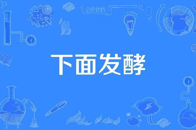 下面發酵 下面發酵