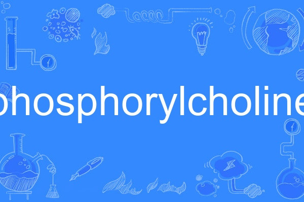 phosphorylcholine phosphorylcholine