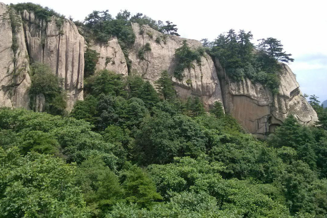 楊山寨景區 楊山寨景區