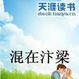 混在汴梁 混在汴梁