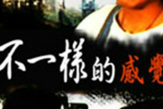 不一樣的感覺 不一樣的感覺