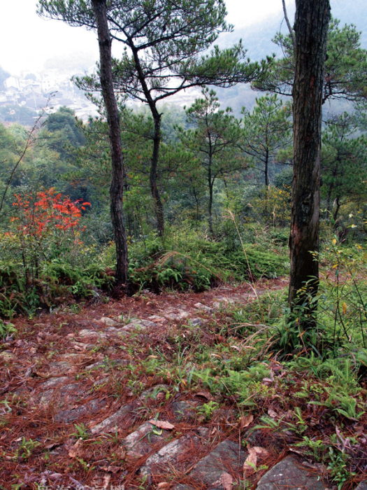 門檻山古道 門檻山古道