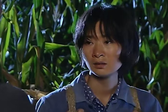 田鳳蘭(農村題材劇《天高地厚》中的角色) 田鳳蘭(農村題材劇《天高地厚》中的角色)