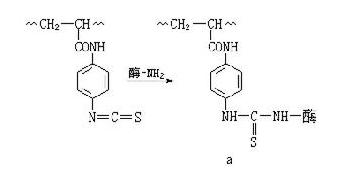 高分子催化劑