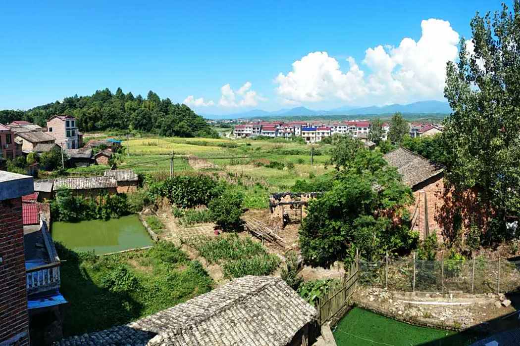 洲陂村 洲陂村