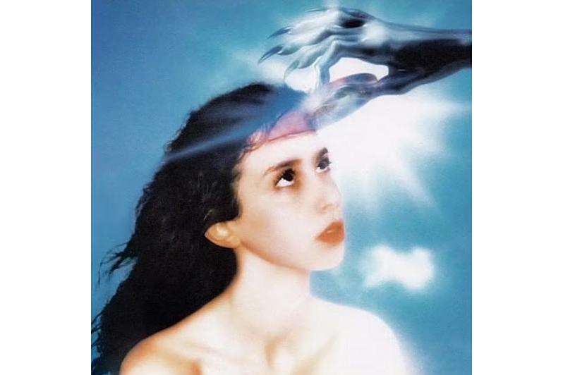 Imaginal Disk Imaginal Disk