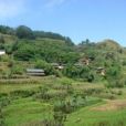 大茨菇塘村 大茨菇塘村