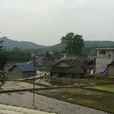 納五車村 納五車村