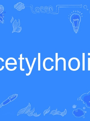 acetylcholine acetylcholine