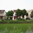 交通村(山東省高密市高密鎮交通村) 交通村(山東省高密市高密鎮交通村)