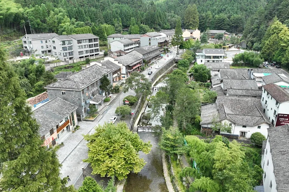 百山祖村 百山祖村