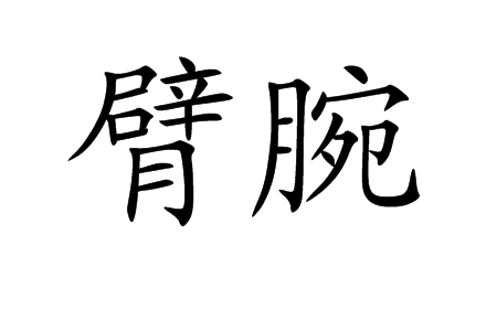 臂腕 臂腕