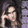天命魂師 天命魂師
