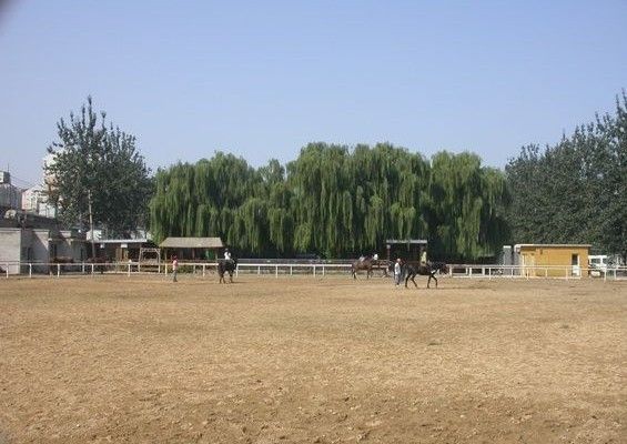 東都樂園 東都樂園