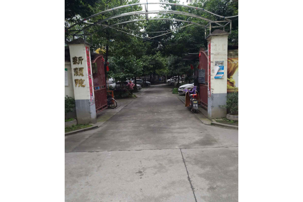 新顏院 新顏院