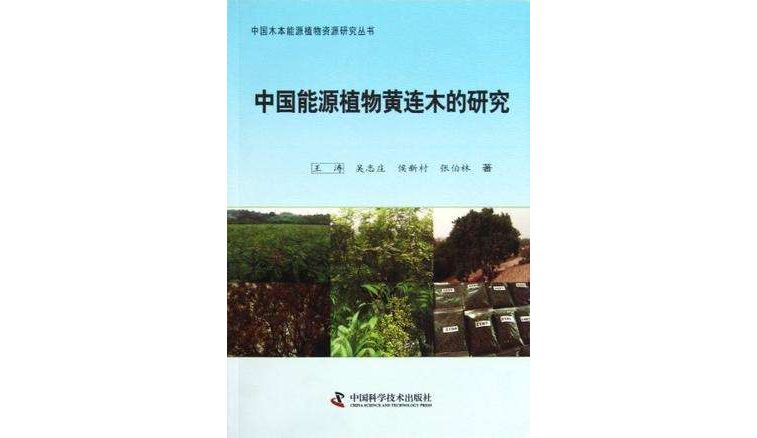 中國能源植物黃連木的研究
