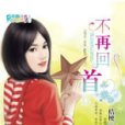不再回首(小說) 不再回首(小說)