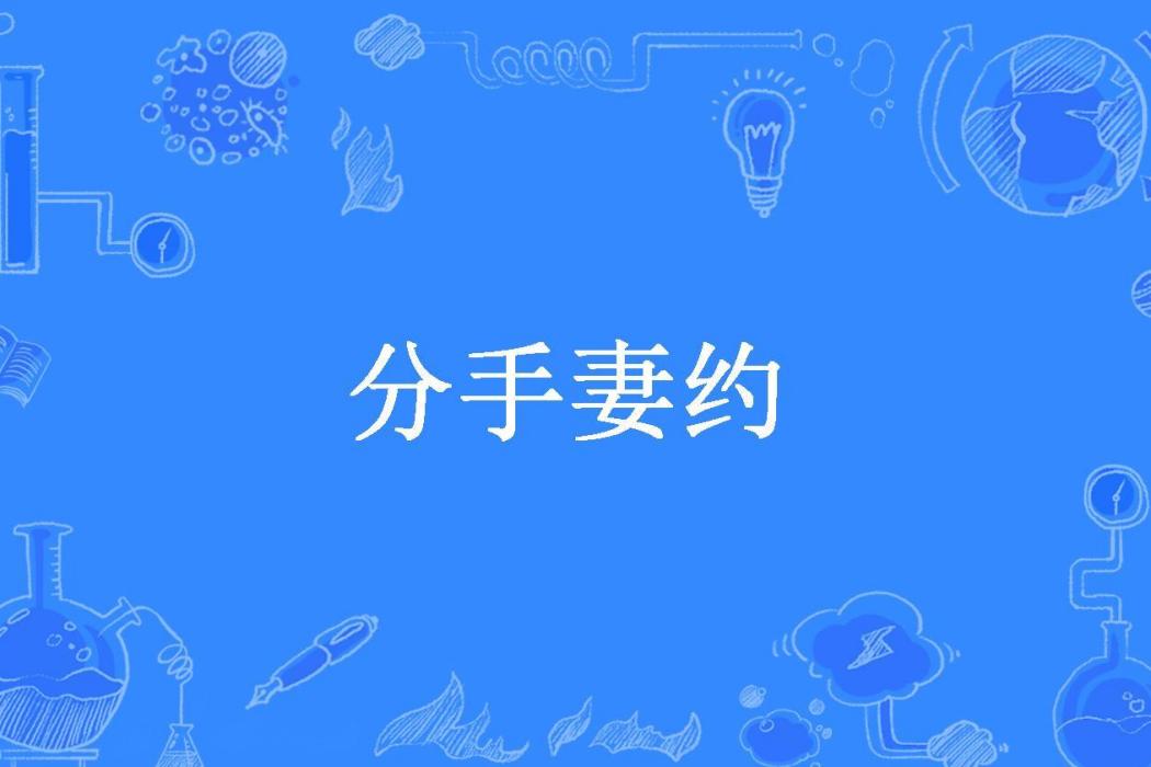 分手妻約(安格瑞所著小說)