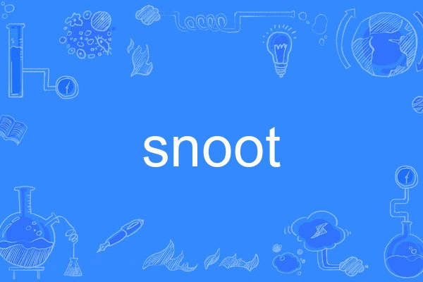 snoot snoot