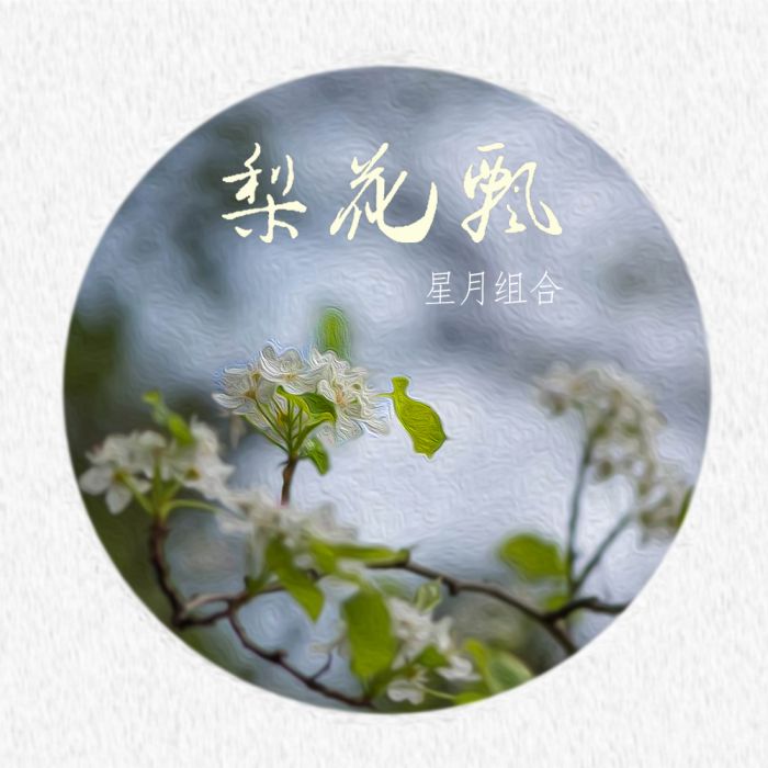 梨花飄 梨花飄