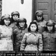 羊仁安 羊仁安