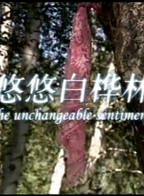 白一弘 白一弘