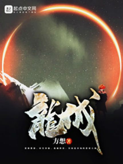 龍城(方想所著小說) 龍城(方想所著小說)