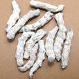 稻芽僵蠶 稻芽僵蠶