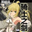 騎士之劍 騎士之劍