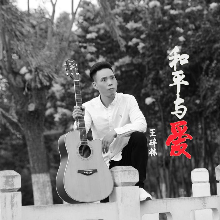 2028年(王碎林演唱歌曲) 2028年(王碎林演唱歌曲)