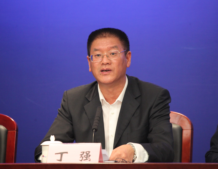 丁強(深圳市規劃和自然資源局黨組成員、副局長)