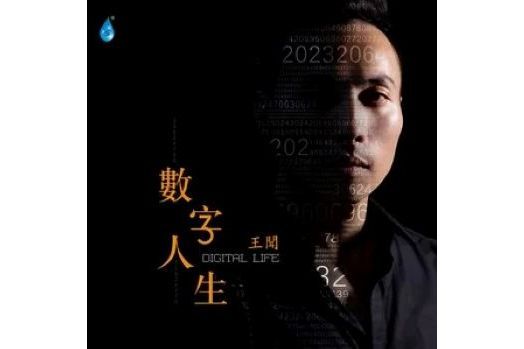 似夢迷離(2022年王聞演唱的歌曲)