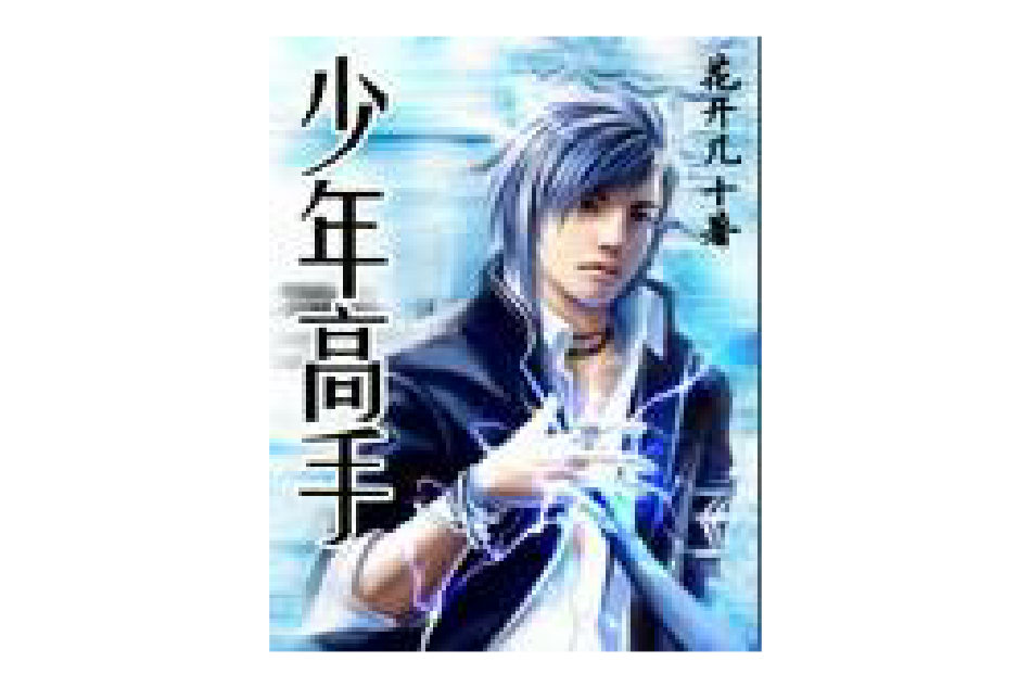 少年高手(花開幾十創作的網路小說) 少年高手(花開幾十創作的網路小說)