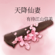 天降仙妻 天降仙妻