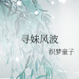 尋妹風波 尋妹風波