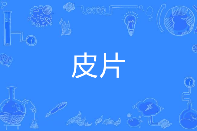 皮片
