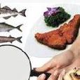 鱈魚系油魚 鱈魚系油魚