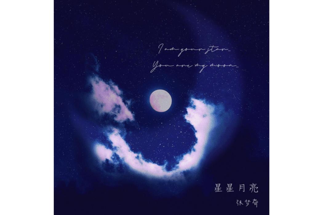 星星月亮(張夢奇創作的音樂專輯) 星星月亮(張夢奇創作的音樂專輯)