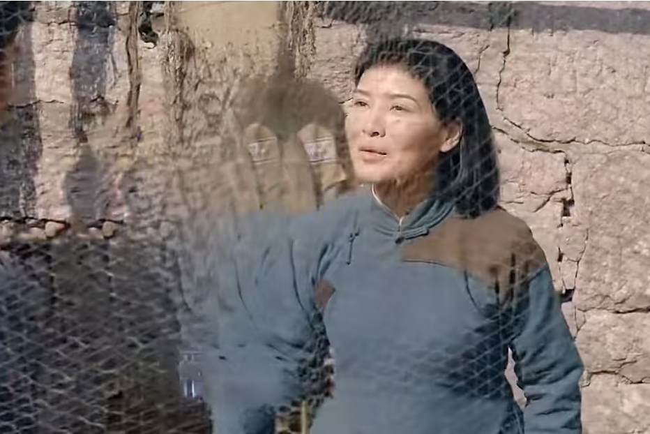 何美玉(歷史劇《谷文昌》中的角色)