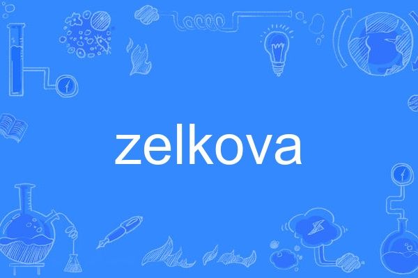 zelkova zelkova