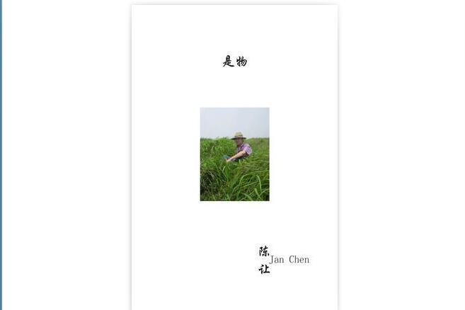 是物